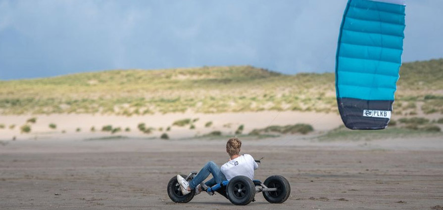 PLKB Peter Lynn Hornet Kite Buggying Traction Power Kite