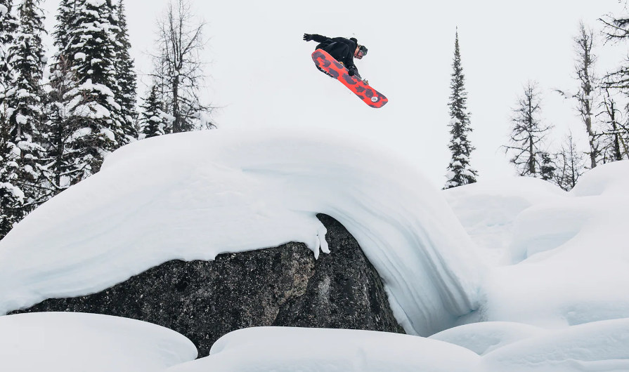 Burton Family Tree Hometown Hero Snowboard 2026