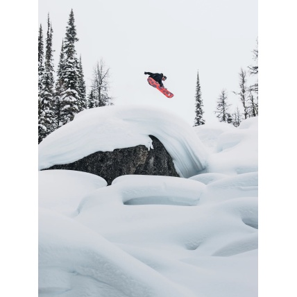 Burton Family Tree Hometown Hero Snowboard 2026