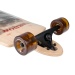 Arbor LBcomp Photo drop cruiser 38in